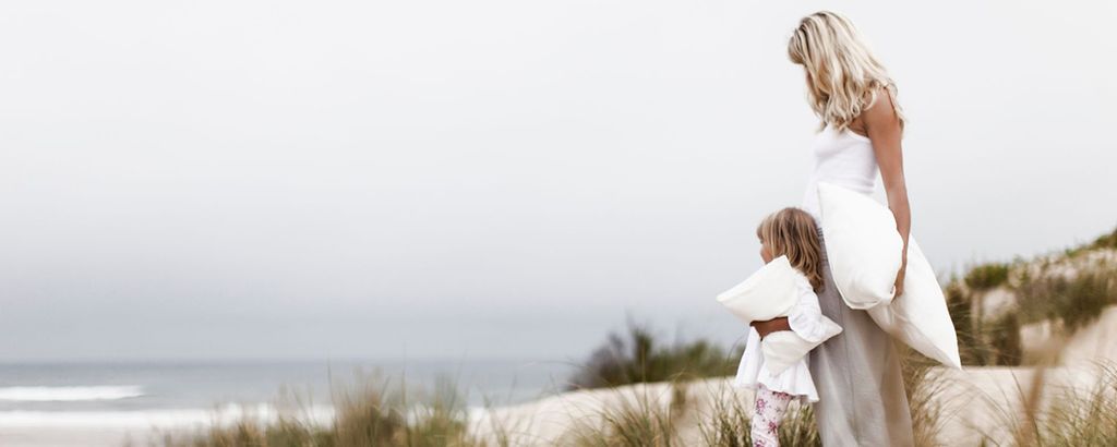 The Silk Lady Cover Image